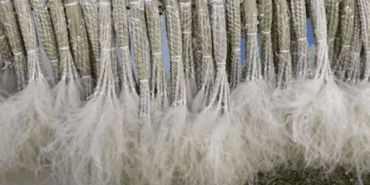 Sadece 1 Kez Aynı Yerden Hasat Edilebiliyor! 81 İle Gönderiyor, Paraya Para Demiyor