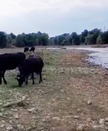 Sakarya’da Alarm! Kirli Dere Tehlike Saçıyor