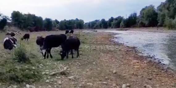 Sakarya’da Alarm! Kirli Dere Tehlike Saçıyor