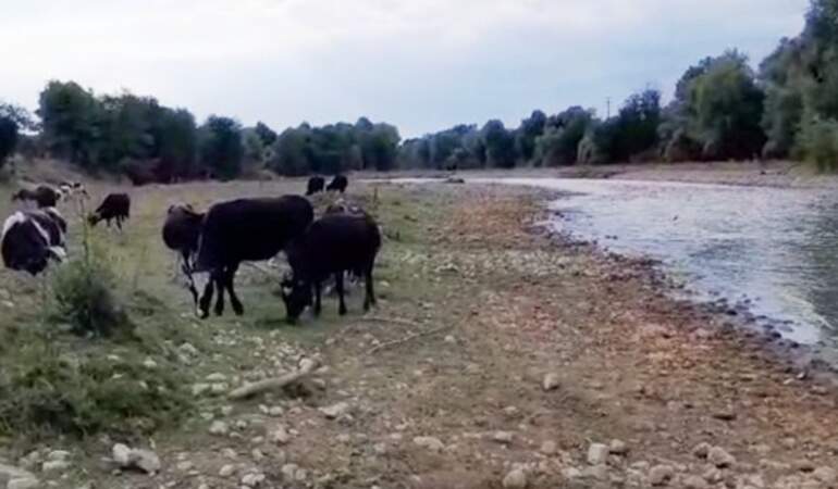 Sakarya’da Alarm! Kirli Dere Tehlike Saçıyor