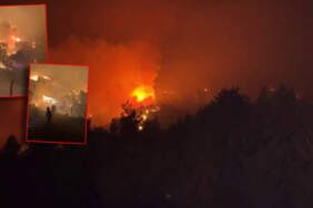 Sakarya’da Orman Yangını! Bir Mahalle Tahliye Edildi