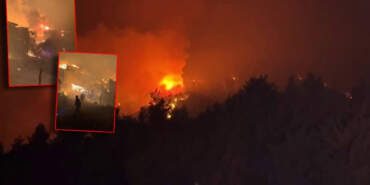 Sakarya’da Orman Yangını! Bir Mahalle Tahliye Edildi