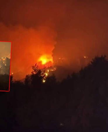 Sakarya’da Orman Yangını! Bir Mahalle Tahliye Edildi