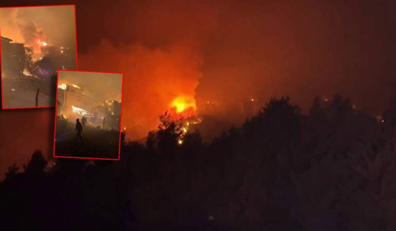 Sakarya’da Orman Yangını! Bir Mahalle Tahliye Edildi
