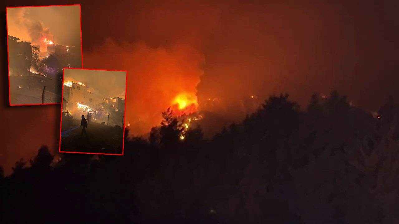 Sakarya’da Orman Yangını! Bir Mahalle Tahliye Edildi