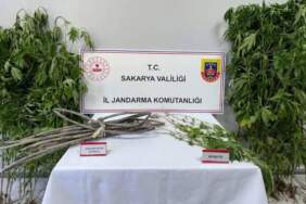 Sakarya’da Uyuşturucu Operasyonu: 1 Kişi Tutuklandı