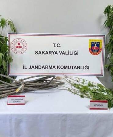 Sakarya’da Uyuşturucu Operasyonu: 1 Kişi Tutuklandı