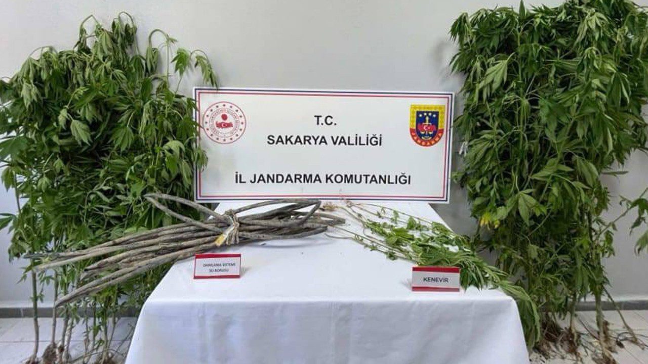 Sakarya’da Uyuşturucu Operasyonu: 1 Kişi Tutuklandı