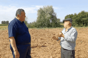 Satılmayan Patates Tarlada Kaldı, Üreticiler İsyan Etti