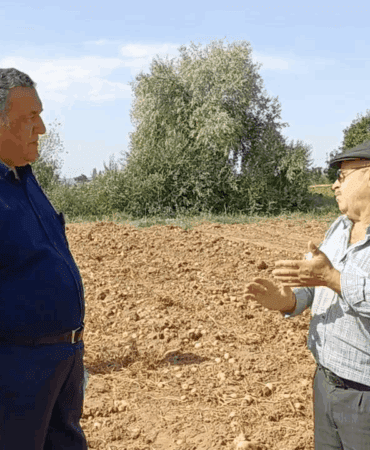 Satılmayan Patates Tarlada Kaldı, Üreticiler İsyan Etti