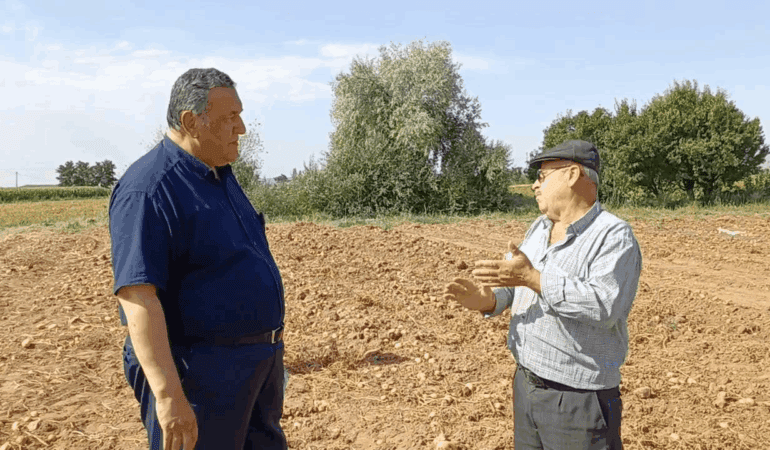 Satılmayan Patates Tarlada Kaldı, Üreticiler İsyan Etti
