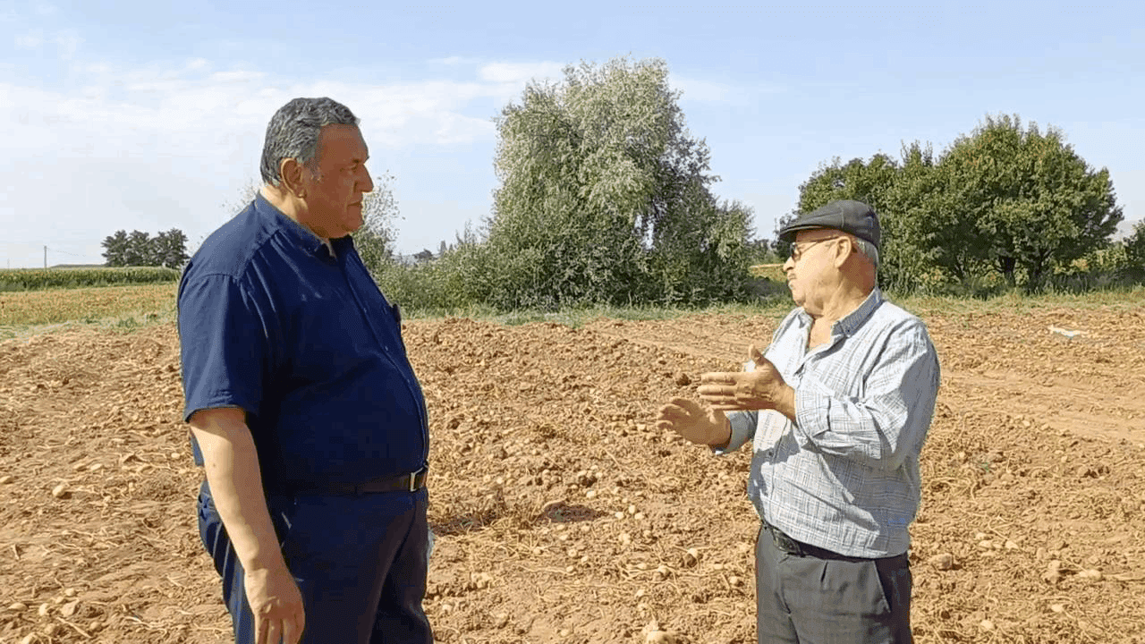 Satılmayan Patates Tarlada Kaldı, Üreticiler İsyan Etti