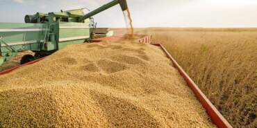 Savaş Bitti, Mutfağa Faturası Ağır Çıktı! Gübre Fiyatlarına ‘İran-İsrail’ Zammı