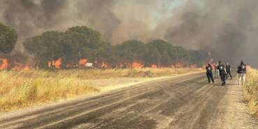 Silivri’de Orman Yangını! Söndürme Çalışmaları Sürüyor