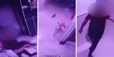 Sosyal Medya Ayakta: Konya’da Hamile Kediye Şiddet Kamerada