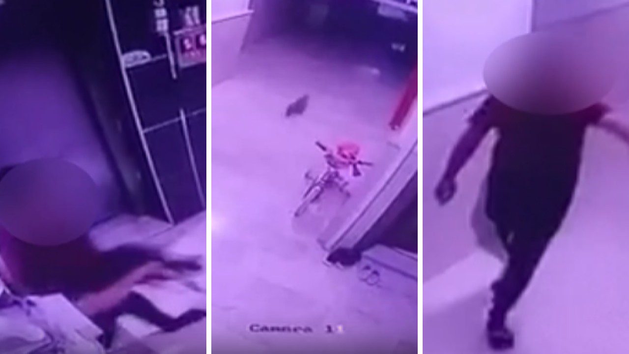 Sosyal Medya Ayakta: Konya’da Hamile Kediye Şiddet Kamerada