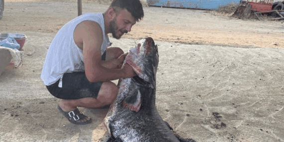 Türkiye-Yunanistan Sınırında Bulundu! Tam 73 Kilo