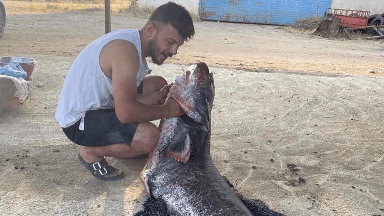 Türkiye-Yunanistan Sınırında Bulundu! Tam 73 Kilo