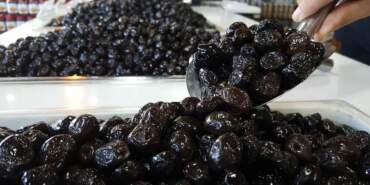 Türkiye’den Almanya’ya Gönderilen Siyah Zeytinde Bakteri Riski