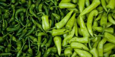 Türkiye’nin Gönderdiği Biberler Apar Topar İmha Edildi