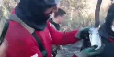 Yangın Bölgesinde Canlı Balık Bulundu! İtfaiye Ekipleri Seferber Oldu