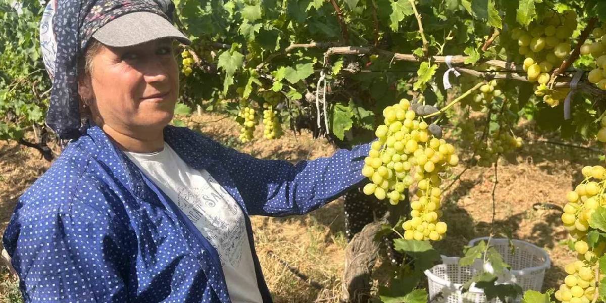 yeni-proje-20-2 yeni-proje-20.jpg