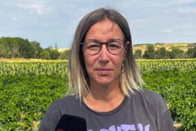 Yıllarca Özel Sektörde Canına Tak Etti: İstifa Edip Köye Yerleşti, Şimdi Paraya Para Demiyor