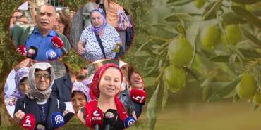 Zeytin Emekçilerden Meclis Önünde Yürek Dağlayan İsyan: ‘Bir Kilo Altına Bir Avuç Toprağımı Değişmem’