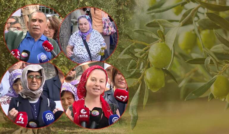 Zeytin Emekçilerden Meclis Önünde Yürek Dağlayan İsyan: ‘Bir Kilo Altına Bir Avuç Toprağımı Değişmem’