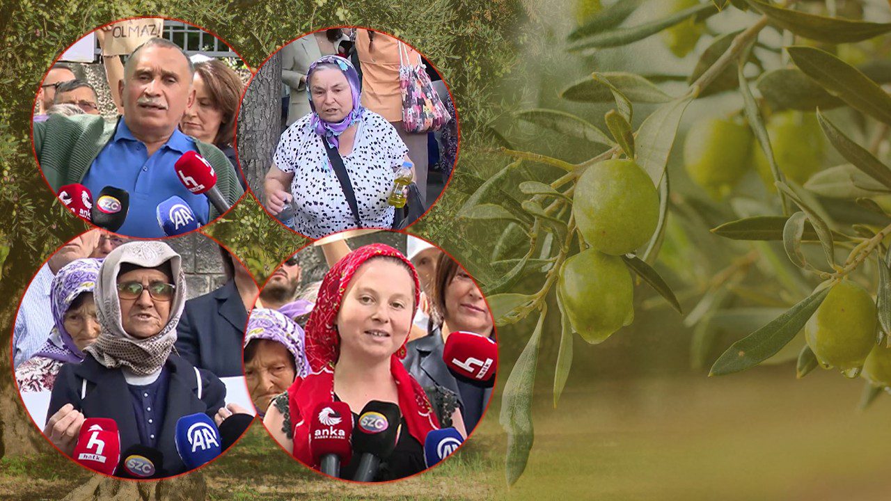 Zeytin Emekçilerden Meclis Önünde Yürek Dağlayan İsyan: ‘Bir Kilo Altına Bir Avuç Toprağımı Değişmem’