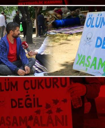 Zeytinlikler Tehlikede, Köylüler Direnişte! Meclis Önünde Nöbet Başladı