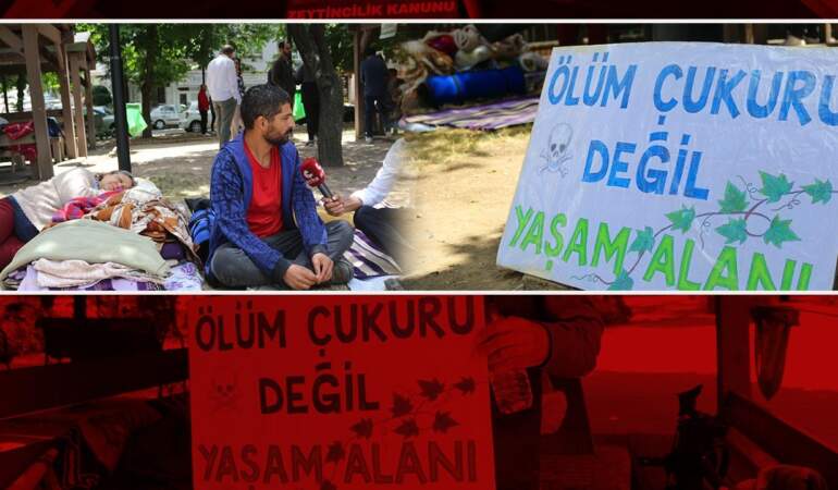 Zeytinlikler Tehlikede, Köylüler Direnişte! Meclis Önünde Nöbet Başladı