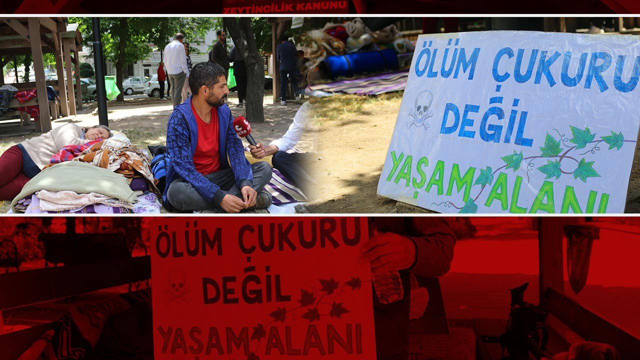 Zeytinlikler Tehlikede, Köylüler Direnişte! Meclis Önünde Nöbet Başladı