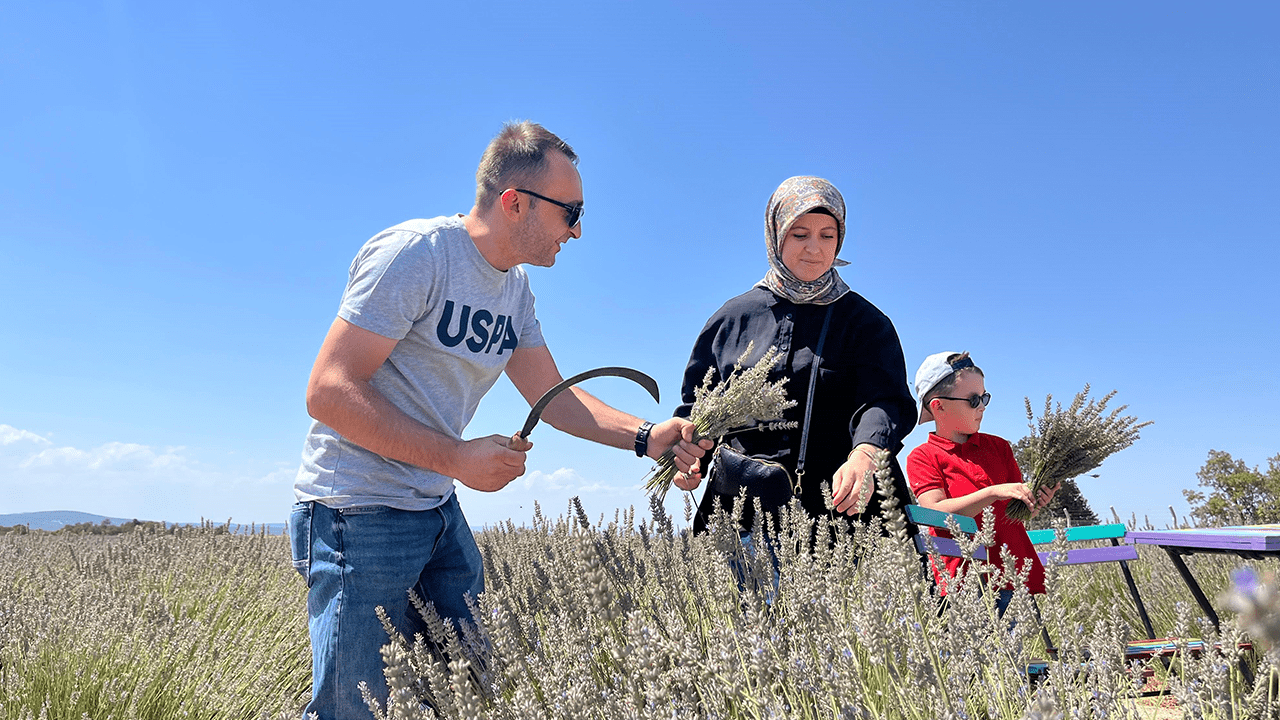 100 Kilodan 2 Litre Yağ Çıkıyor! Ücretsiz Topladılar, Hem Fotoğraf Çektirdiler Hem Kazandılar