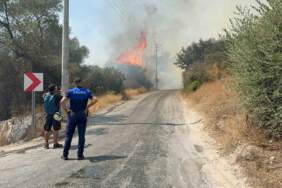 Bodrum’da makilik alanda yangın