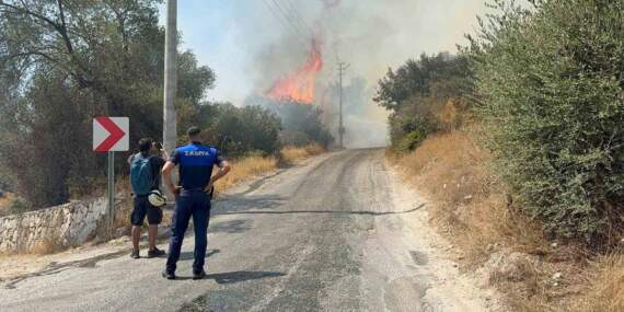 Bodrum’da makilik alanda yangın