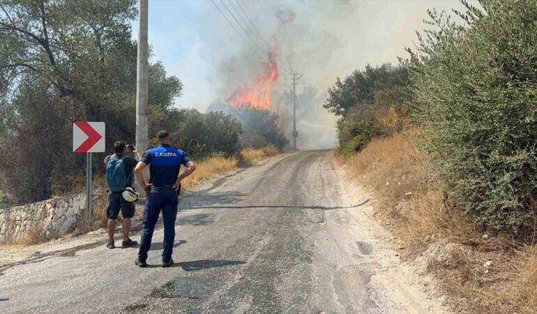 Bodrum’da makilik alanda yangın