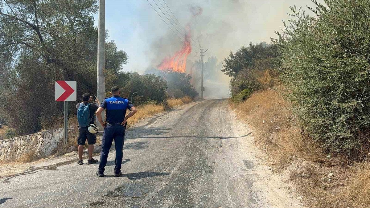 Bodrum’da makilik alanda yangın