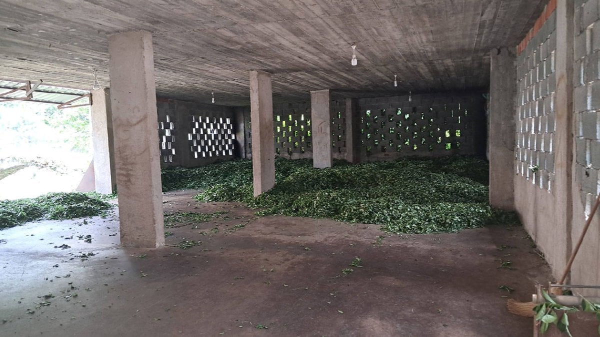 Üreticilerden ÇAYKUR’a ‘kota’ tepkisi: Çay alımı karaborsaya düştü