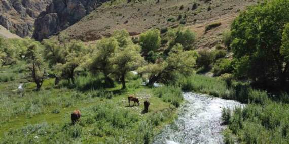 Erzincan’ın dünyaca ünlü şelalesinin hayat kaynağı keşfedildi! 9 ayrı kaynakla besliyor: Gören hayran kalıyor