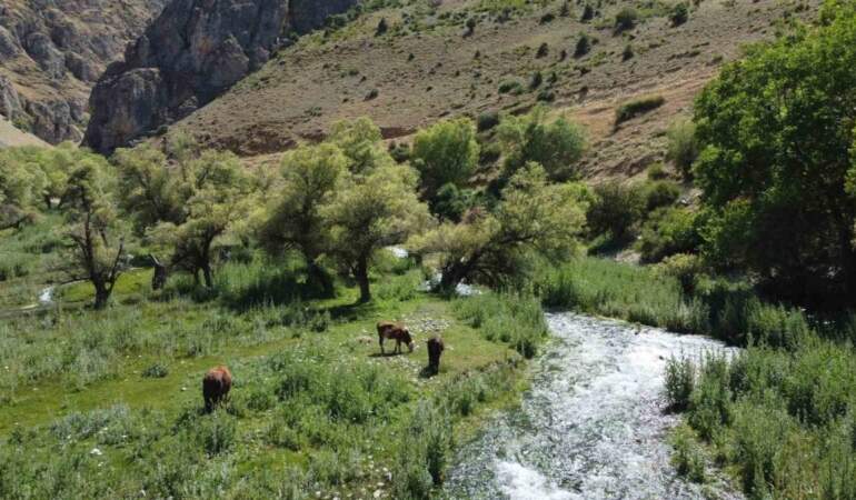 Erzincan’ın dünyaca ünlü şelalesinin hayat kaynağı keşfedildi! 9 ayrı kaynakla besliyor: Gören hayran kalıyor