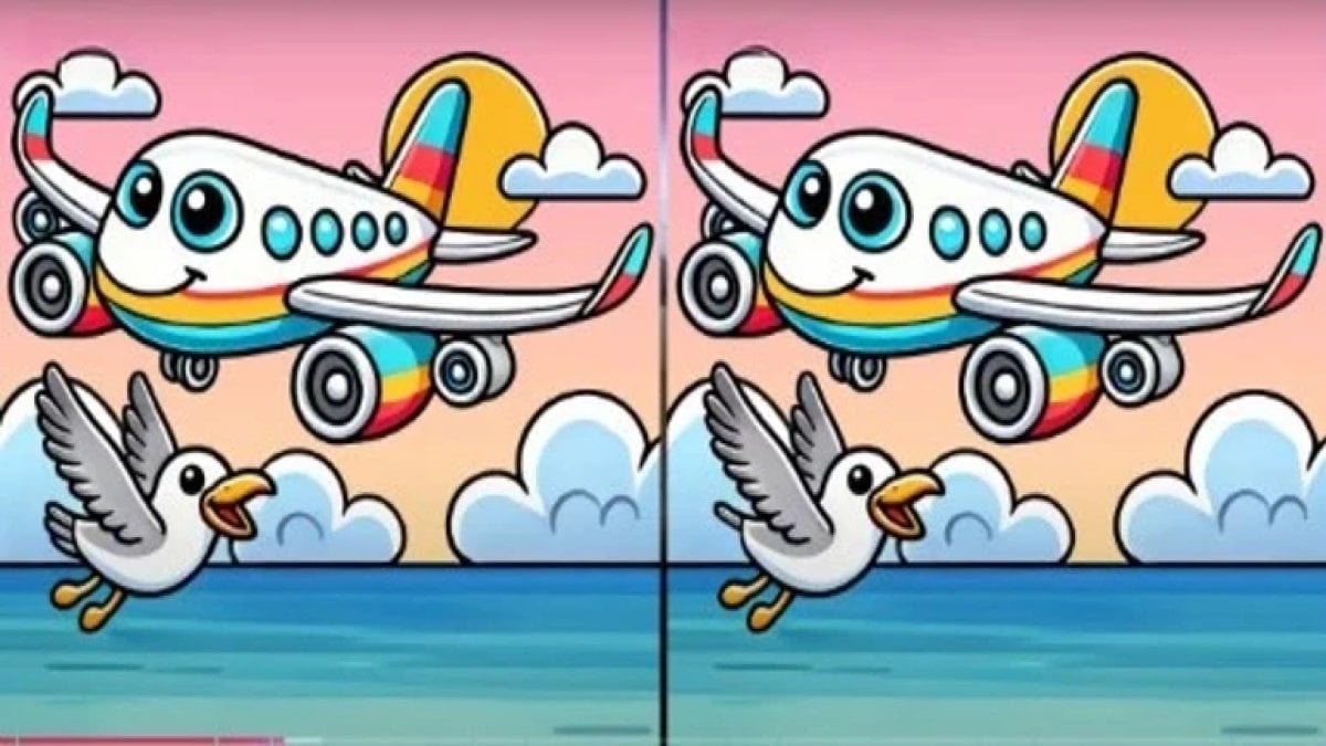 Gözleriniz kartal gibi mi? Yüksek IQ’luların bile zorlandığı o martı bulmacası! 12 saniyede farkı bulabilecek misiniz?