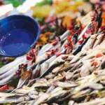 Balık sevenler mutlaka okuyun! Ağustos ayında tüketilmesi gereken en lezzetli balıklar belli oldu! İşte o balıklar…