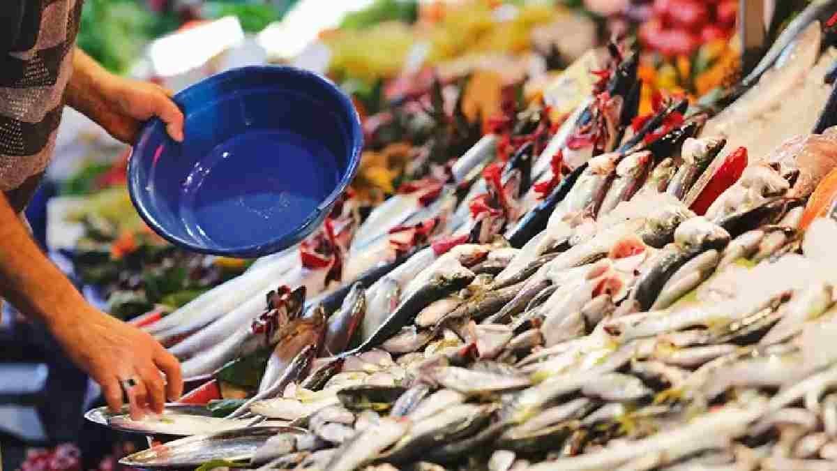 Balık sevenler mutlaka okuyun! Ağustos ayında tüketilmesi gereken en lezzetli balıklar belli oldu! İşte o balıklar…