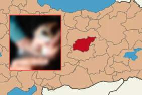 Kırmızı listedeki hayvan Tunceli’de görüldü! Dünya koruma listesinde bulunuyor