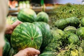 Marketten alınan her 10 liradan 6 lirası aracının cebine gidiyor! Çiftçinin isyanı: “Karpuzda yüzde 613 fark var!”