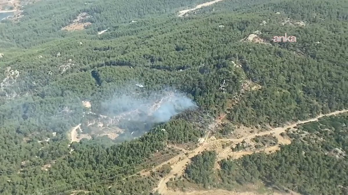 Milas’ta orman yangını