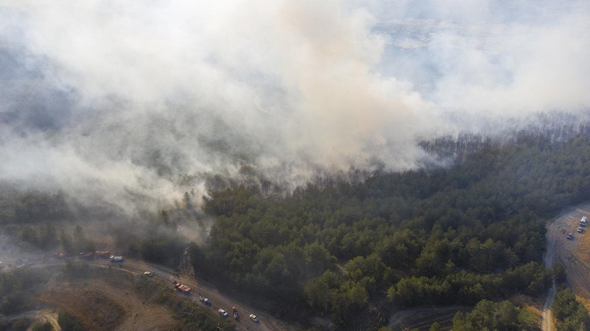 OGM’den yangın raporu: 8 ayda 5 binden fazla yangın söndürüldü