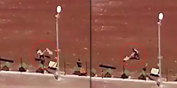 Barınakta köpeklere demir sopalı işkence: Kars Valiliği soruşturma başlattı