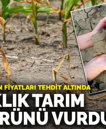 Kuraklık tarım sektörünü vurdu: Rekolte ve ürün fiyatları tehdit altında